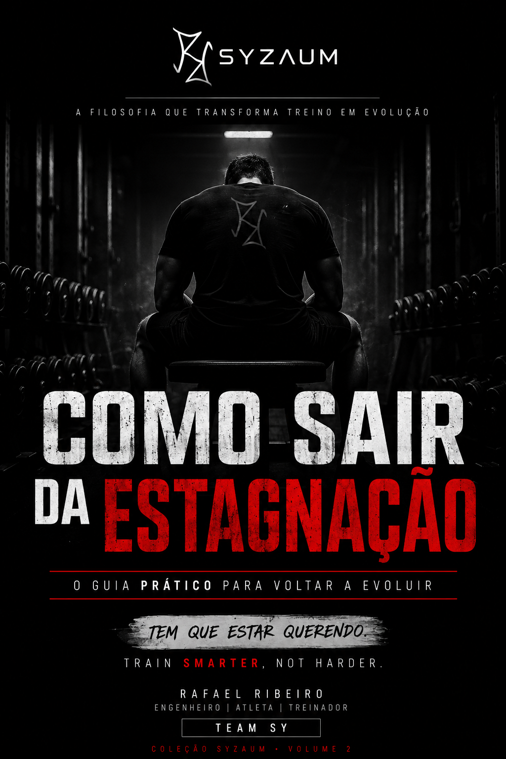 Capa do e-book Como Sair da Estagnação